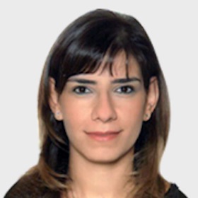 ec-undp-jft-lebanon-about-leap-guilnard-asmar