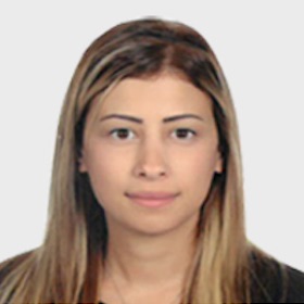 ec-undp-jft-lebanon-about-leap-nora-mourad